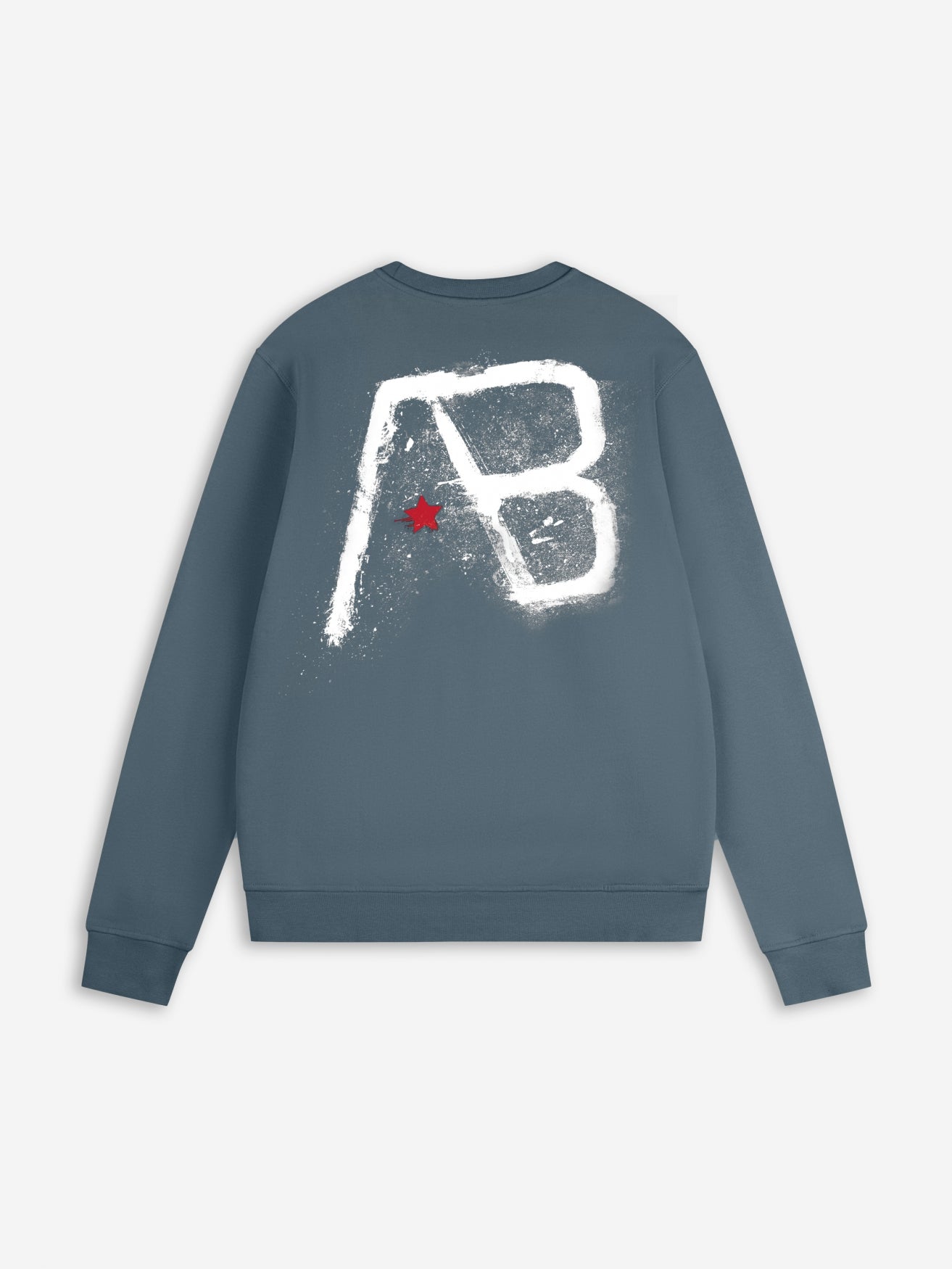 Canvas Crewneck | Stargazer