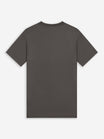 Festival Tee | Charcoal / Sage
